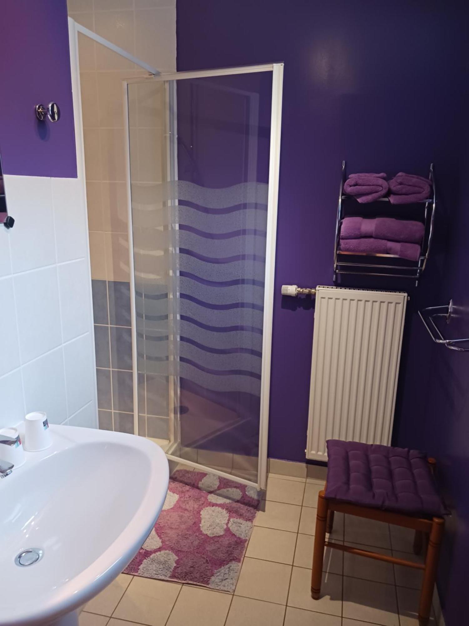 Bed and Breakfast Les Accacias Moyenmoutier Zewnętrze zdjęcie